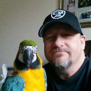 Meet your Posher, Ken